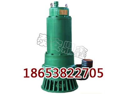 BQS10-28-2.2Ǳˮ