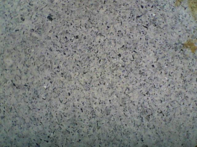 ֥ʯ(֥)