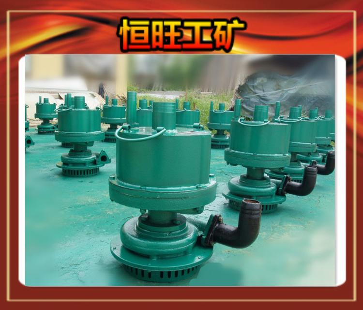 FQW20-50/WK÷綯Ǳˮ