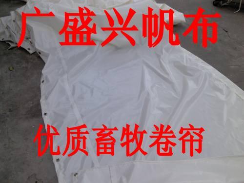 Դֱ񲼡