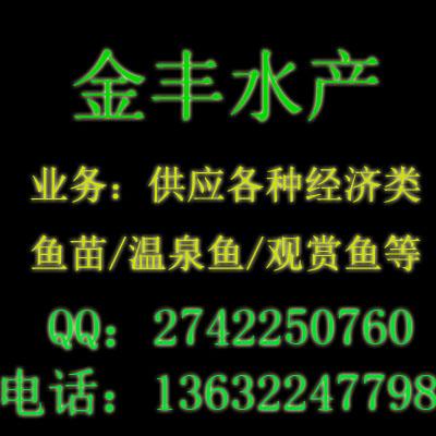 Ӧ[ˮ˾]|۸|Ǯ
