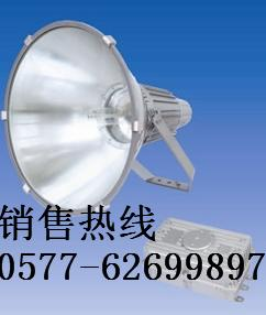 GT102-L1000ˮͶ