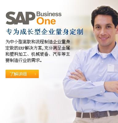 人SAP˾ERPϵͳ