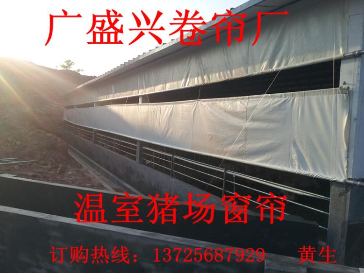 猪场卷帘布卷帘布价格养殖卷帘布