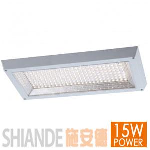 CO15LEDγ15W
