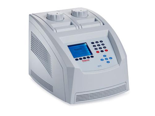 ȵArktik๦PCR