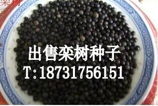 Ӧ10