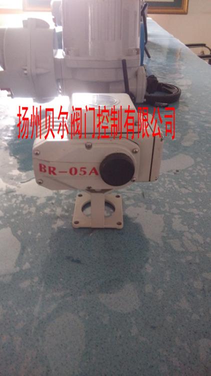 BR-0Сͱ׼͵綯ִ