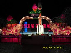 綯(tyjpcd04)
