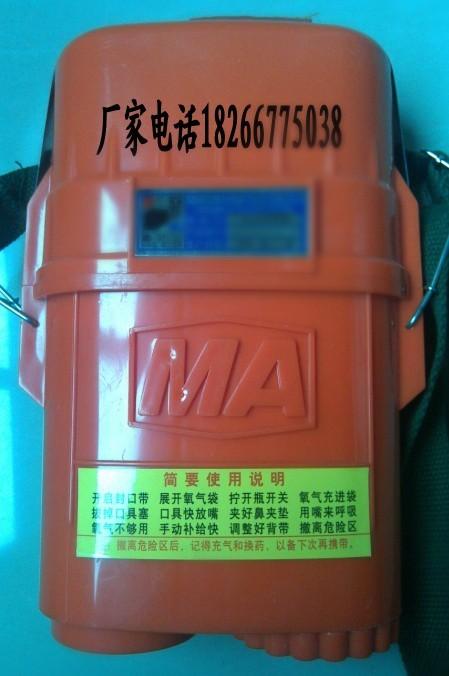 ZYX60ʽѹԾ