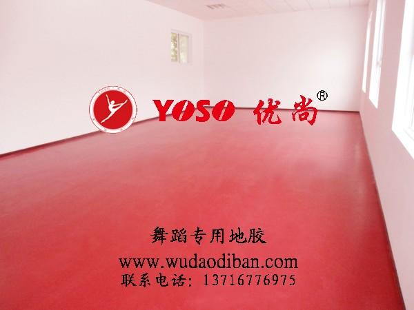 舞蹈地胶国内,尚舞蹈地胶