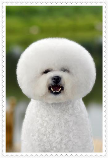ѩⰲװ׼