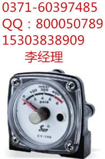 SWP-CY100еʽѹָʾ