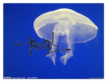 2014䶳лƽĸ