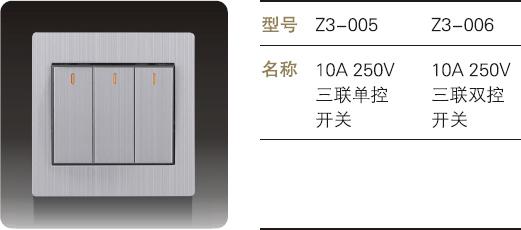 ز·(Z3)