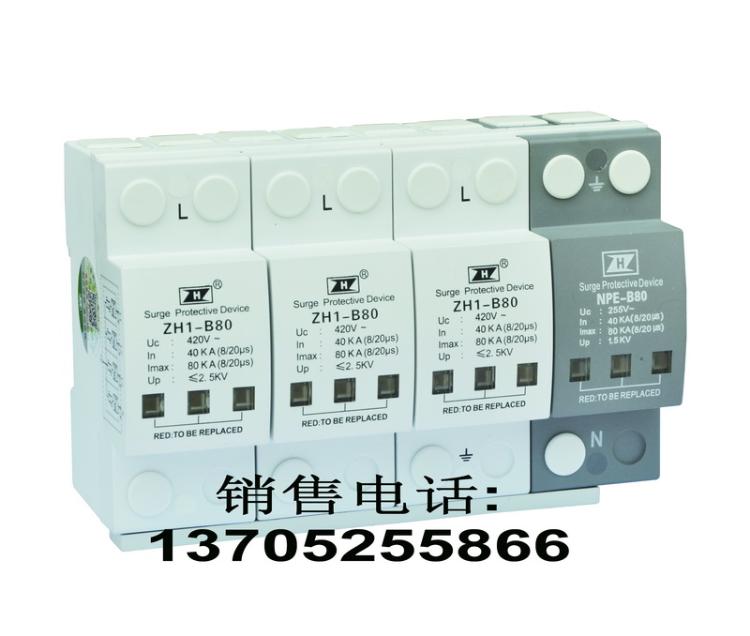 ZH1-B80/4P-420ӿ