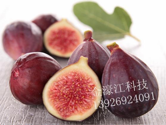 ޻ɻ(婽Ƽ-޻ɻ)