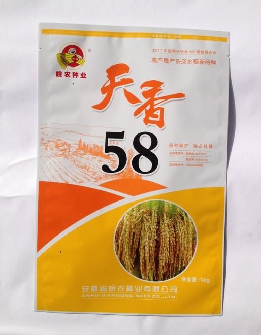 书ضӹСӰװ