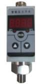 CYDK102ѹ