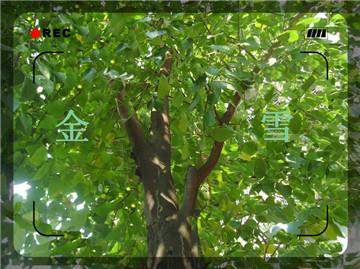 ϷС豸ʱ