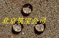 żҸ۵1107ҹӦ