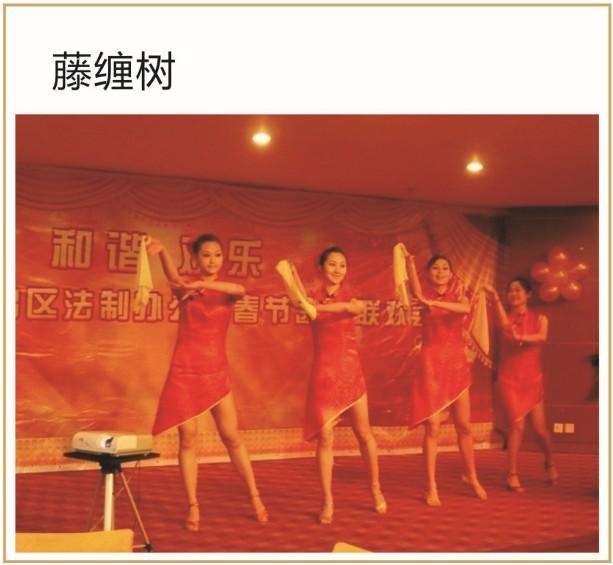 赸ݳԴ