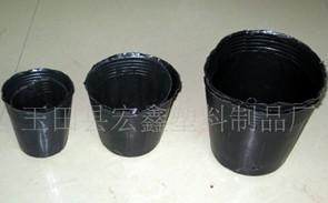 绿化树苗育苗杯