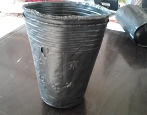 ջӪ