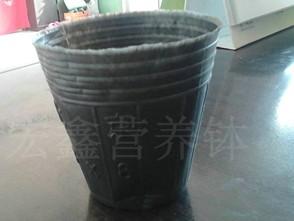 育苗育苗杯(育苗育苗杯)