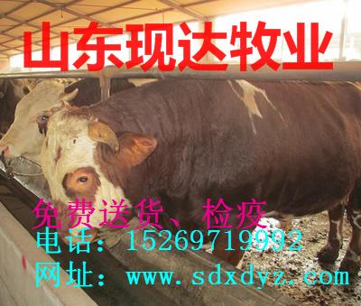 ţ(С)