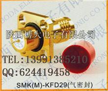 SMK(M)-KFD29