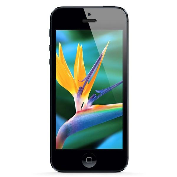 ƻiPhone5ֻ/