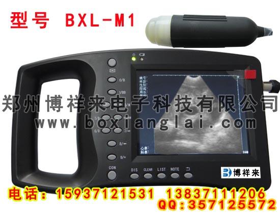 B(BXL-M11)