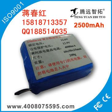Яʽ12V﮵2500mAh
