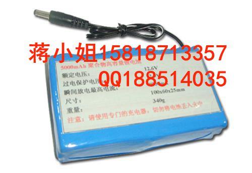 Яʽ12V﮵5000mAh
