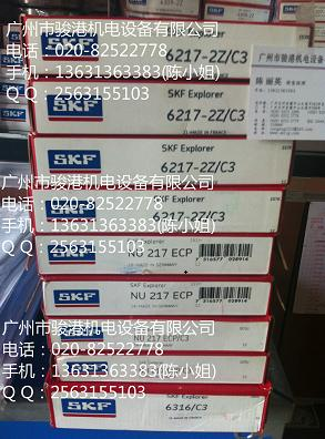 SKF6217-2Z/C3