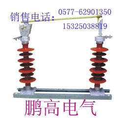 RW12-12/100ֻ