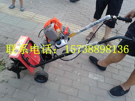 Сݻ(llg-03..)