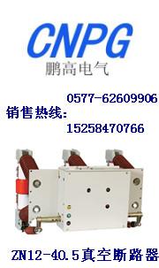 ZN12-12/630-25ն·