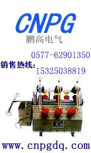 ZW6-12G/630-20ֱֻ