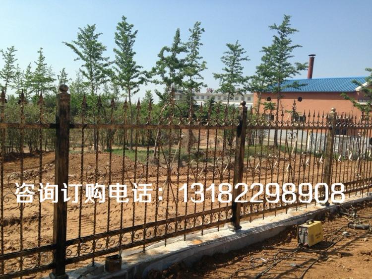 Դݺշ¥ζ