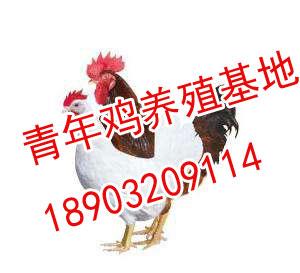 һ,һ꼦,