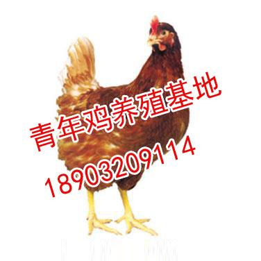 ,꼦,ּ