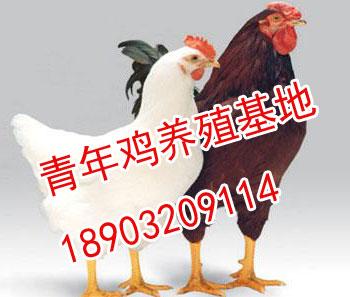,۸,糧