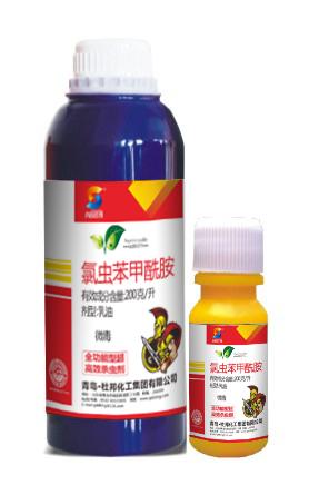 20%ȳ-䵾棬