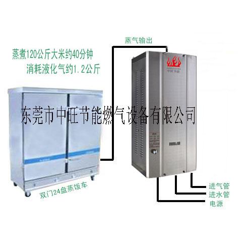 酒店壁挂式燃气节能蒸汽发生器厂家一台起批