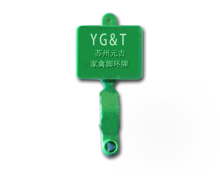 ݷαǩݻ