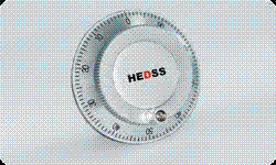 ISM6045|HEDSS