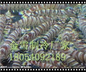 ʶ߲̫񲻿