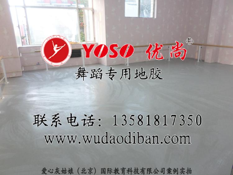 ͬ͸赸ذ彺PVC̨
